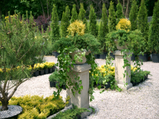 sierplanten coniferen loofbomen tuinheesters