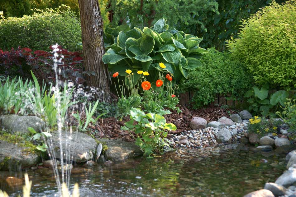 sierplanten coniferen loofbomen tuinheesters