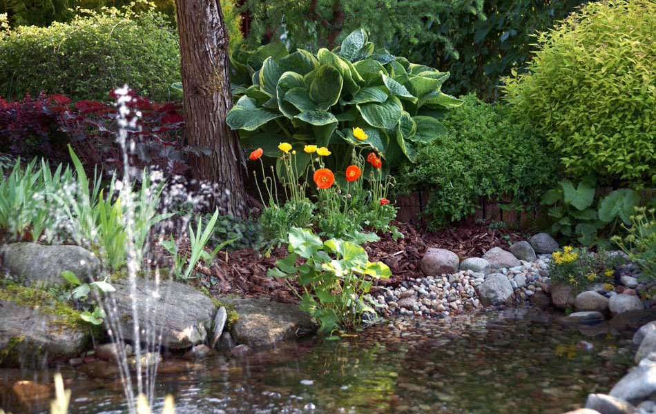 sierplanten coniferen loofbomen tuinheesters